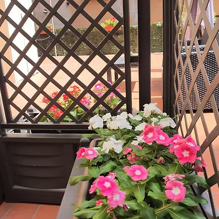 Bed and Breakfast Gaisa - 4*